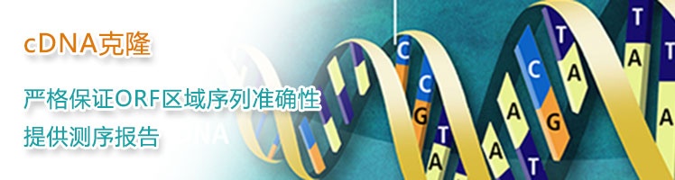 cdna-clone.jpg