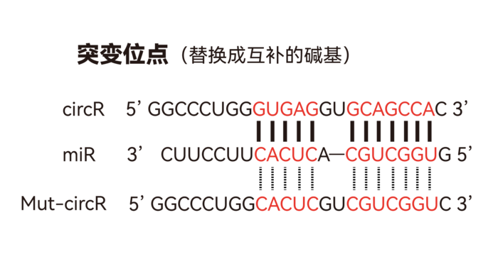 86.png