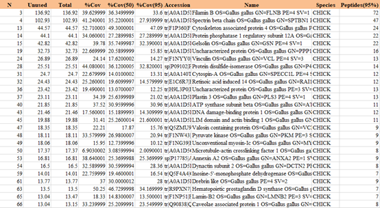 GST pull down试剂盒厂家-大量现货-辉骏生物